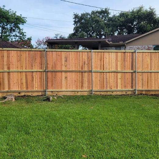 Cedar fence, steel posts