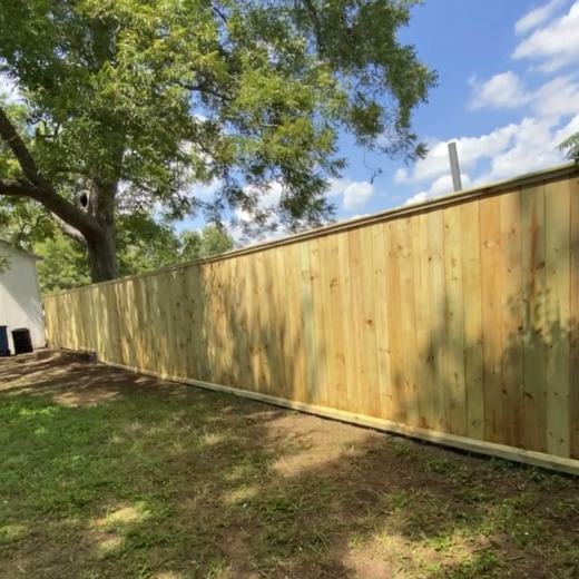 Backyard run under the pecan